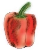 Pepper Drawing for Simulation