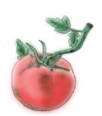 Tomato Drawing for Simulation